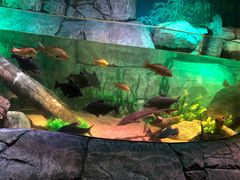 -沈阳海洋探索中心