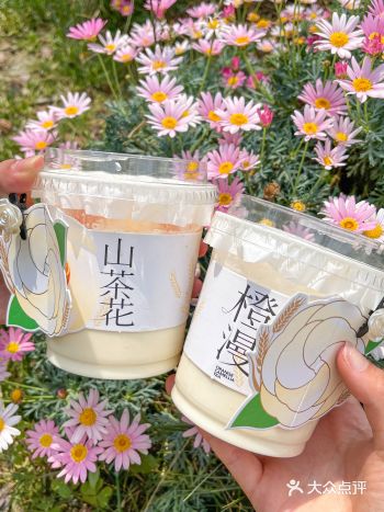 OATLY️书亦烧仙草 橙漫山茶花