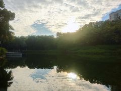 -深圳国际园林花卉博览园