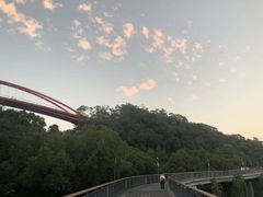 -金鸡山公园