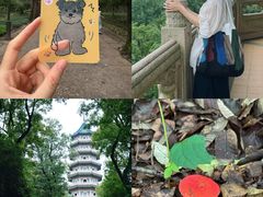-灵谷景区