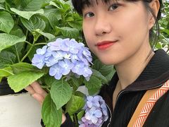 -盈香心动乐园