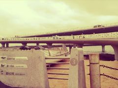 -演武大桥观景平台