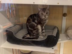 -老炮儿轰趴团建KTV桌游棋牌主题馆(五道口店（底商店))