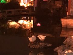 -祝家花園(伯渎港店)
