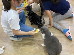 -李小姐の猫咖啡馆(五角场店)