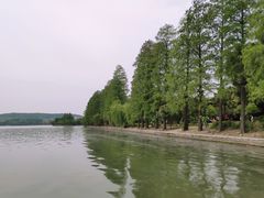 -东湖落雁景区