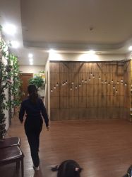 -小熊维尼高端孕婴摄影(清湖金銮店)