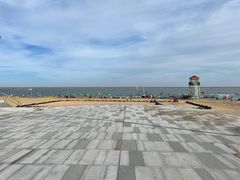 -碧海金沙