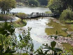 -东莞植物园