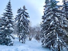 -雪谷