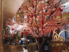 -金轩中餐厅 Jin Xuan(浦东丽思卡尔顿酒店)