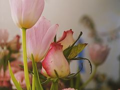 -花满楼(启秀路店)