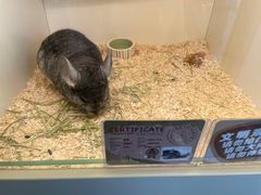 -龙猫仔乐园(惠福东路店)