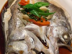 -绿茶餐厅(昆明世纪金源店)