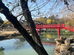 -扬州大运河文化旅游度假区·盆景园
