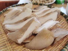 鲍鱼菇-菌鲜荟(摩根国际店)
