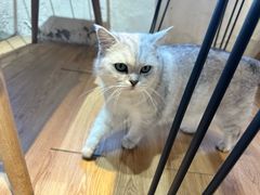 -小时光咖啡馆(开森度假森林店)