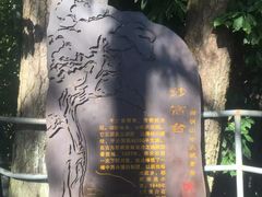 -溪口-滕头旅游景区