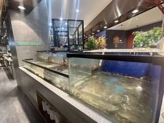 -遇上西雅图多融合海鲜自助餐厅(中房金谊广场店)