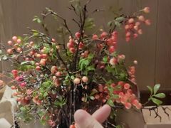 -湘邻呷铺·田园家宴(汉基广场店)