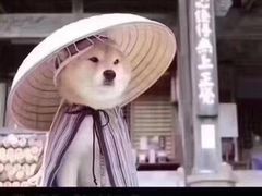 -霸蛮湖南菜·牛肉粉(荣京西街店)
