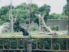 -常州淹城野生动物世界