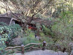 -马岭河峡谷风景区