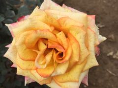 -人民公园(罗湖区)