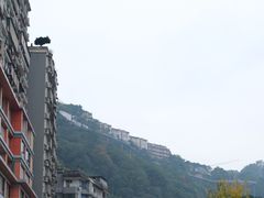 -白象居