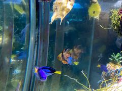 -太平洋海底世界