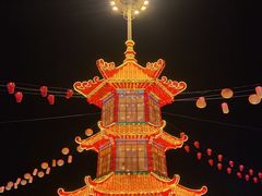 -洛阳市隋唐城遗址植物园