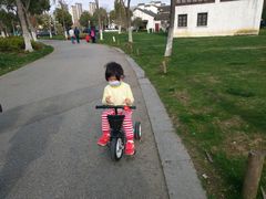 -尚贤河湿地