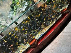 -太平洋海底世界