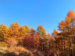 -白草畔自然风景区