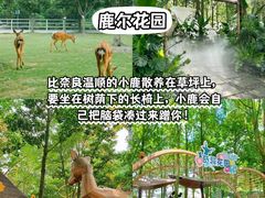 -老鼎万春卤菜(五代传承创始老店)