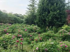 -宝鸡植物园