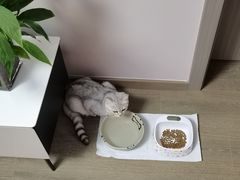 -艾贝尔宠物医院·24H转诊中心·肿瘤猫专科(江宁双龙店)