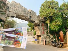 -阳台山自然风景区