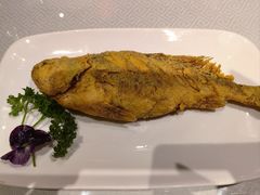 -老牌坊鲁菜名店(聊城美食岛店)
