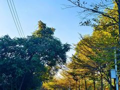 -凤岗南门山森林公园
