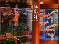 -鸿泰洋美食水会(东门中店)