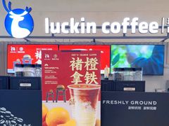 -瑞幸咖啡(济南绿城玉兰广场店)