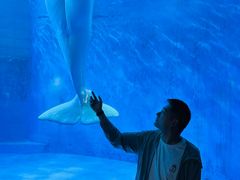 -海合安成都极地海洋公园