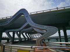 -演武大桥观景平台