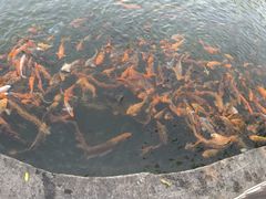 -广西职业师范学院(相思湖校区)