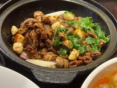 生嗜生肠-高第街56号餐厅(银座商城玉函店)