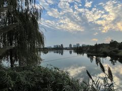 -眉山湿地公园(东坡区)