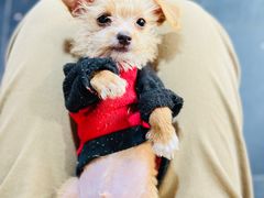 -云河农家乐饭店(福禄缘树山店)