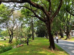 -人民公园(罗湖区)